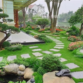 Thi Công Sân Vườn
