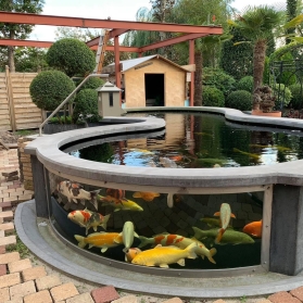 Thi CÔng Hồ Koi Bà Rịa