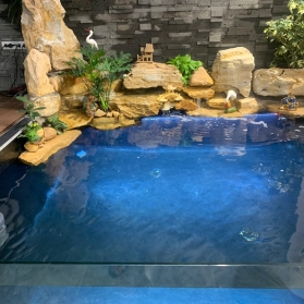 làm hồ cá koi giá rẽ bà rịa