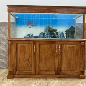 Thi Công Hồ Kiếng Cá Vũng Tàu