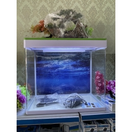 Hồ Kiếng Vũng Tàu Mẫu 3