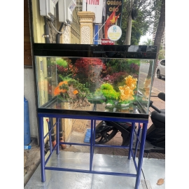 Hồ Kiếng Vũng Tàu Mẫu 4