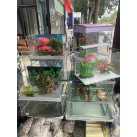 Hồ Kiếng Vũng Tàu Mẫu 5