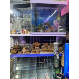 nhiều mẫu phụ kiện cá đẹp