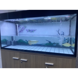 Hồ Kính Rộng 1M2