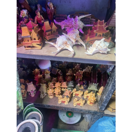 Phụ Kiện Cá nhiều mẫu 