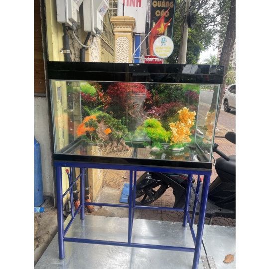Hồ Kiếng Vũng Tàu Mẫu 4