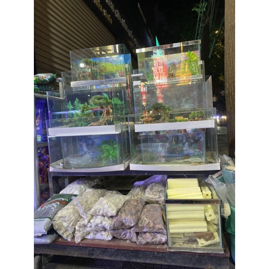 Phụ Kiện Cá 1
