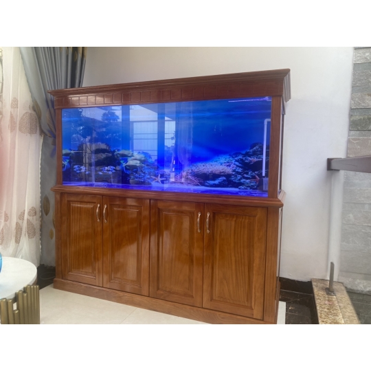 Hồ Kính Trang Trí Phòng Khách