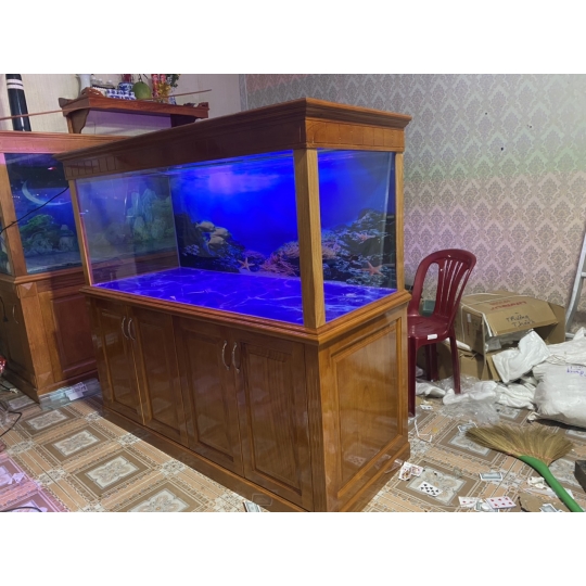 Hồ Kính Trang Trí Phòng Khách